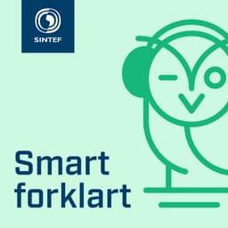image of Smart forklart